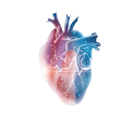 Women’s heart health